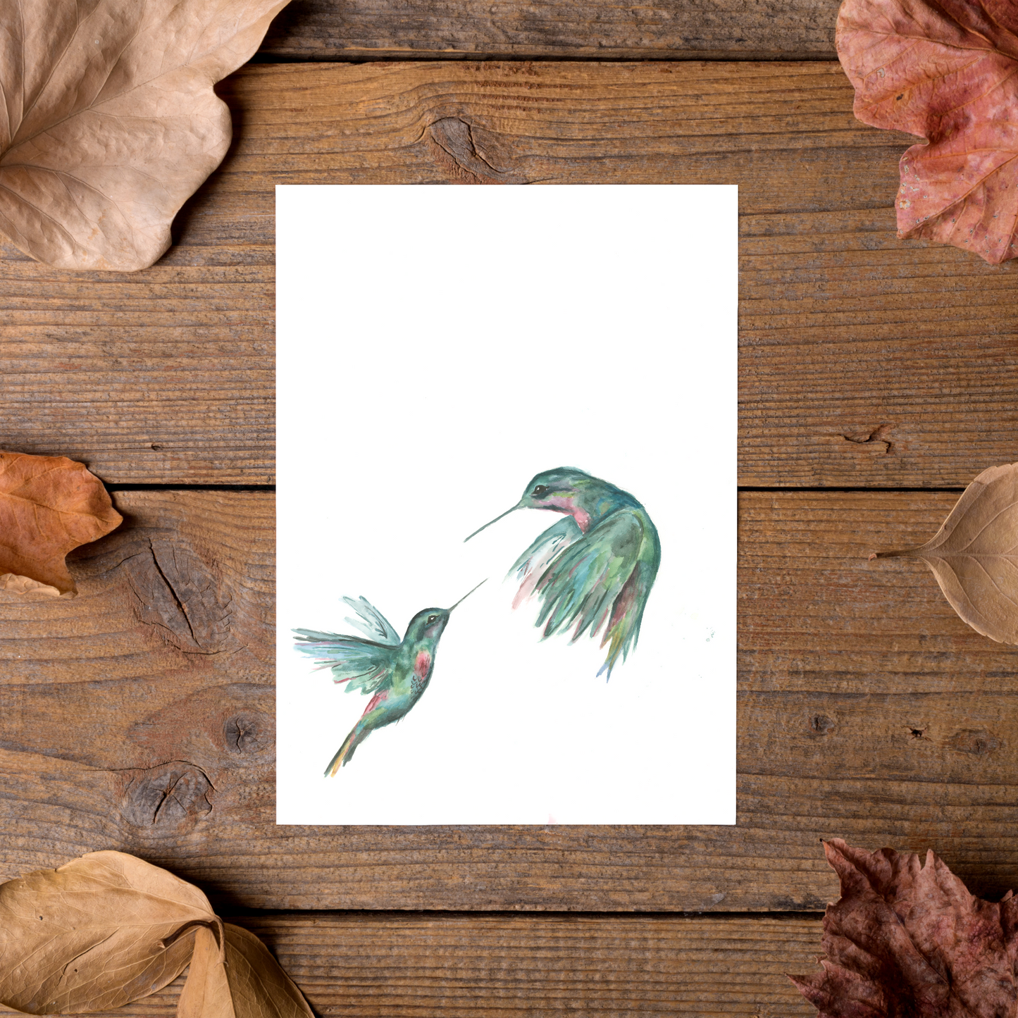 Two hummingbird illustrations on a white card with dried leaves around on a wooden surface