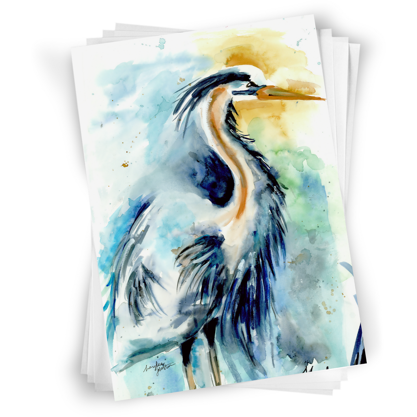 Flat cardstock note card featuring original watercolor piece Male Heron in a stack on a white background.