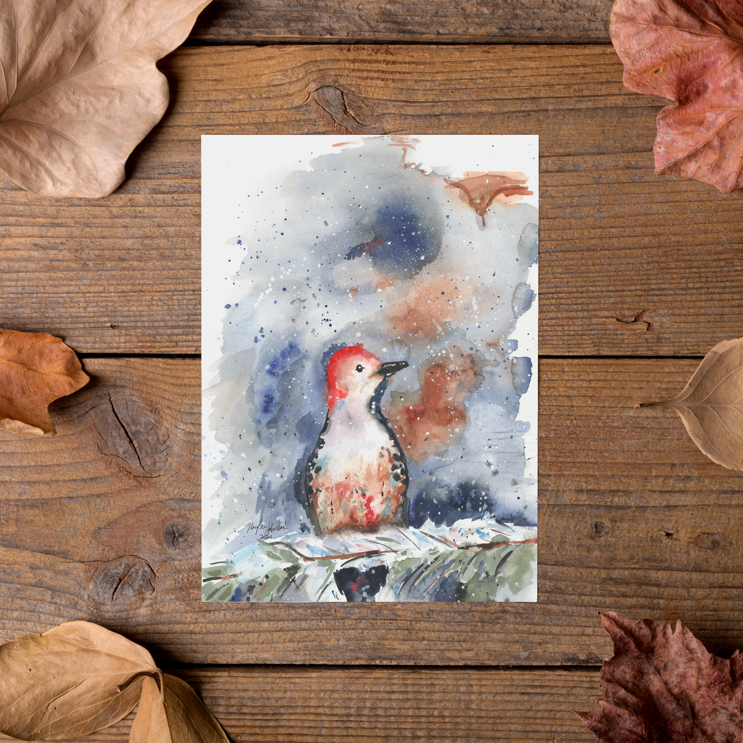 Note Card and Envelope Bundle - Red Bellied Woodpecker - 5 1/8 x 7 - A7